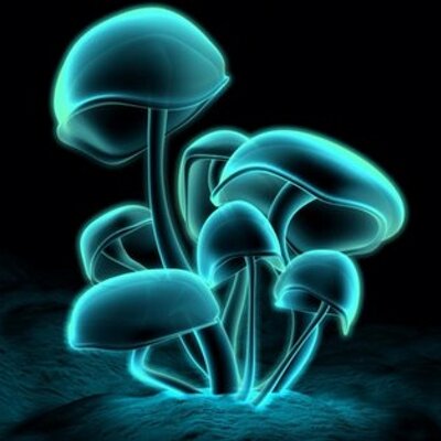 Profile Picture of Alejandro Islas (@alejandroislas5) on Twitter