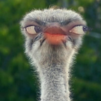 Profile Picture of Savannah Moore (@savanna30978945) on Twitter