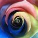 Profile Picture of Nancy Basham-Rossie (@nancyrossie) on Pinterest