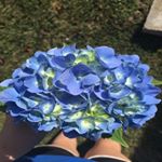 Profile Picture of Nichole Stevenson (@nichole_3349) on Instagram