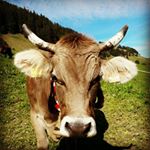 Profile Picture of Jeremy (@jerry_schwarz_) on Instagram