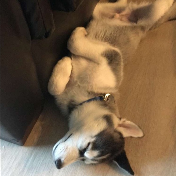 Profile Picture of Jonathan Kimball (@jonkimball14) on Poshmark