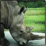 Profile Picture of Stephen Lezama (@slezama) on Instagram