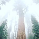 Profile Picture of Kevin_Yazzie (@photographs_krcy) on Instagram