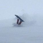 Profile Picture of Taylor Carlton (@shad_to_the_bone) on Instagram