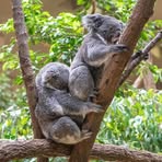 Profile Picture of Matthew Fickle (@matthew.fickle.58) on Facebook