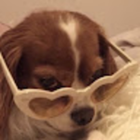 Profile Picture of Victoria Loforese (@vloforese) on Poshmark