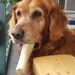 Profile Picture of Raimee Dieterich (@raimee76) on Pinterest