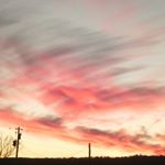 Profile Picture of blake dustin boland (@blakedustinboland) on Instagram