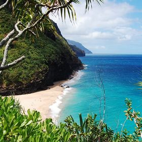 Profile Picture of Michael McGee (@mcgee5600) on Pinterest