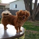 Adilene Ibarra - Instagram Profile Picture of Adilene Ibarra (@forever_91) on Instagram