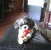 Profile Picture of Joyce Gholson (@joyce.gholson.16) on Facebook