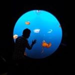 Profile Picture of Rogelio ruvalcaba (@roge6891) on Instagram