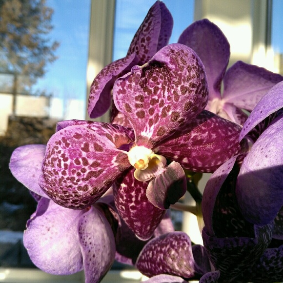 Profile Picture of Tara Swaby (@4tana) on Poshmark