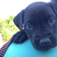 Profile Picture of Autumn Goodman (@autumn-goodman-2) on Quora