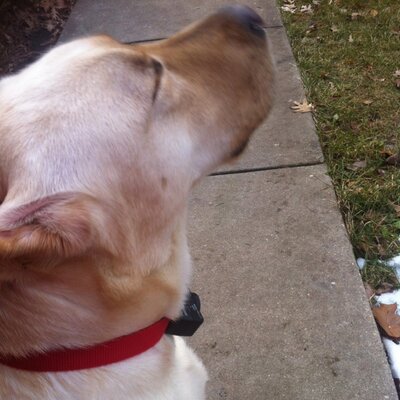 Profile Picture of Jeff Newcomb (@newcomb_jeff) on Twitter