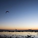 Profile Picture of Scott Tamura (@stamura1) on Instagram