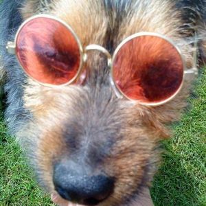 Profile Picture of Bolle (@bolle007) on Myspace