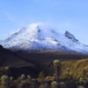 Profile Picture of Cesar Marmolejo (@cesarmarmolejo4630) on Youtube