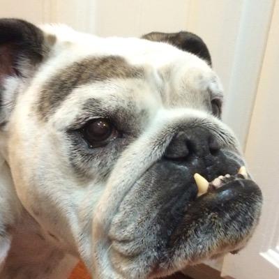 Profile Picture of Justjess818 (@Jessie_Shipman) on Twitter