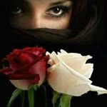 Profile Picture of Sofia Gonsalez (@sofia.gonsalez.5454) on Instagram
