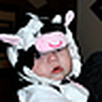 Profile Picture of Lisa Cooper (@lisa_2302) on Flickr