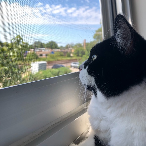 Profile Picture of Gina Chereck (@gchere_5) on Poshmark