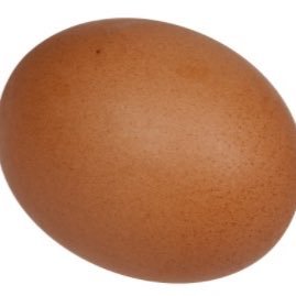 Profile Picture of Matt Frechette (@Frechette456) on Twitter