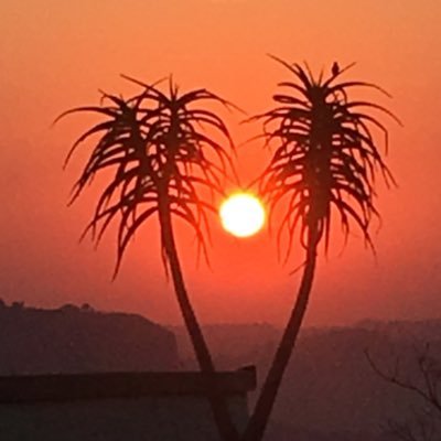Profile Picture of Bobby Peek (@bobby_peek) on Twitter