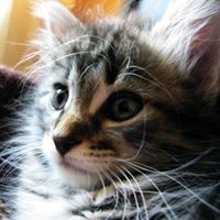 Profile Picture of Anna Tkachenko (@anna-tkachenko-7) on Quora