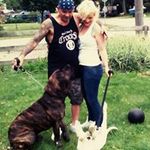 Profile Picture of Michael Rainone (@michaelrainone) on Instagram