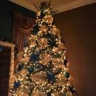 Profile Picture of   1655941850742790~c5_720x720... (@rene._.tik._.tok._.love) on Tiktok