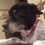 Adam - Instagram Profile Picture of Adam (@adam_brydon) on Instagram