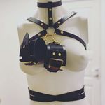 Profile Picture of Luxury Leather Harnesses (@seven_stars_harness) on Instagram