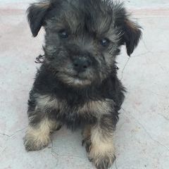 Profile Picture of ♡♤D~A~P~C♤♡ (@edwinplateroclaro) on Tiktok