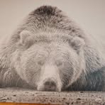 Profile Picture of Jeremy Sedor (@Jeremy-Sedor) on Facebook