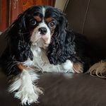 Profile Picture of Roger Wilhelm (@wilhelm8468) on Instagram