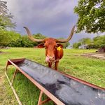 Profile Picture of Morgan Loyd (@lynn99.mor) on Instagram