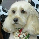 Profile Picture of Trudy Thomas (@trudy.thomas) on Instagram