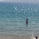 Profile Picture of Brian Garnett (@northshore_kilauea) on Instagram