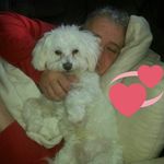 Profile Picture of Thomas Zeppenfeld (@thomaszeppenfeld) on Instagram