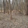Profile Picture of Joseph Baughman (@@josephbaughman3) on Tiktok