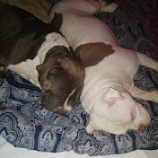 Profile Picture of Michael Loveday (@amiyahmarshall3957) on Youtube