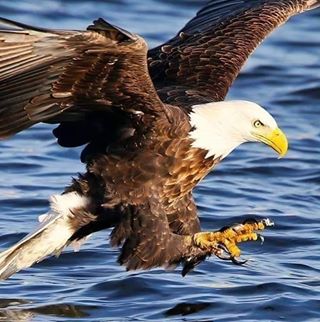 Profile Picture of Hawa Besch Adam (@Hawa-Besch-Adam) on Facebook