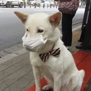 Profile Picture of ShawnLiang (@ShawnLiang16) on Twitter