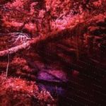 Delphine Mehl - Instagram Profile Picture of Delphine Mehl (@annamariamende302) on Instagram