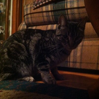 Profile Picture of Jackie Brandon (@JackieBrandon1) on Twitter