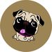 Profile Picture of Barb Rohrer Hamer (@mollyloucreates) on Pinterest