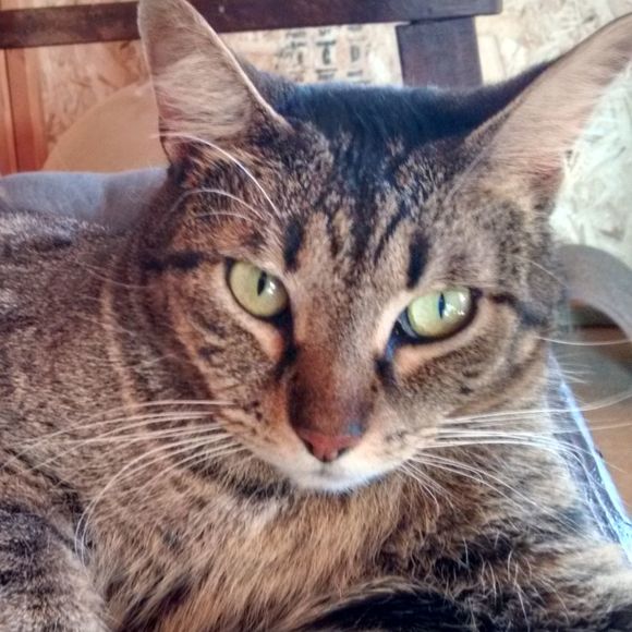 Profile Picture of Marthajames Wiesman (@marthasue1946) on Poshmark