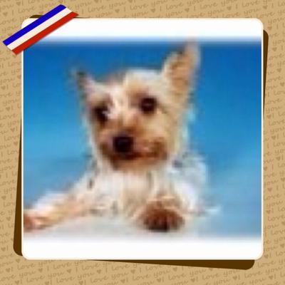 Profile Picture of Keiko (@@keikonomi) on Twitter